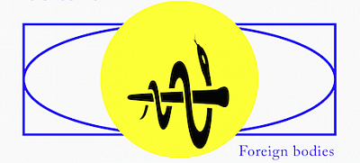 Foreign Bodies - Dr. Regula Staempfli
