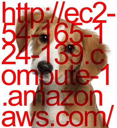 Artificial horizons: intelligence and its mutated forms in Sci-Fi film