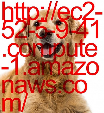 Building Brains. The quest for consciousness