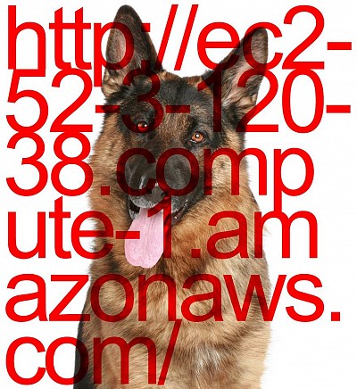 The augmented body and the deadly algorithm