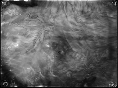 lecture Alice Miceli at UvA