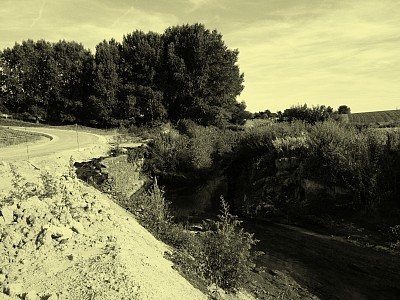 A Particular Scenario/ Scenario I/ Cat in Box