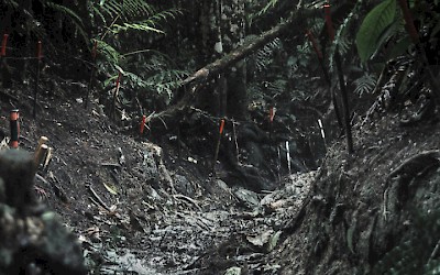 5th Moscow International Biennale for Young Art