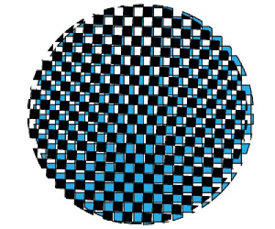 Raewyn Martyn, Jessica Segall, Vera Gulikers, Santiago F Mosteyrín