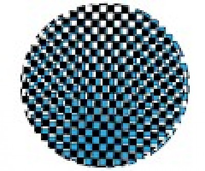 Rasmus Nilausen, Ted Hyunhak Yoon, Guido Yannitto