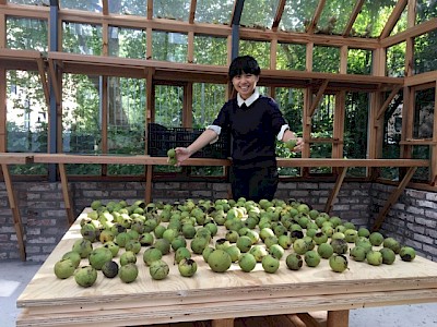 Exchange programme Jac. P. Thijsse Lab - Bamboo Curtain Studio Taiwan