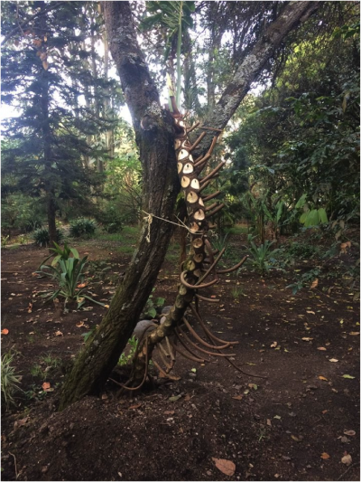 Eva Győri, Taraneh Fazeli