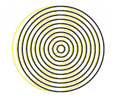 Vera Gulikers, Ted Hyunhak Yoon