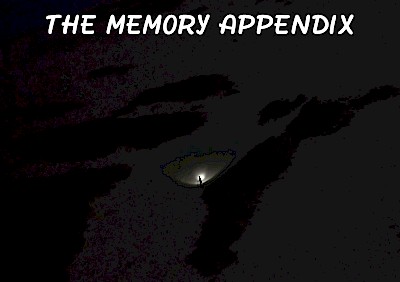 The Memory Appendix