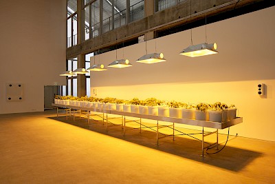 Tubology - Our lives in tubes