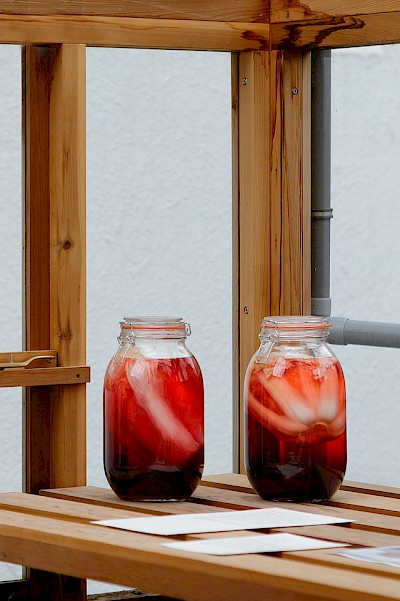 Marente van der Valk