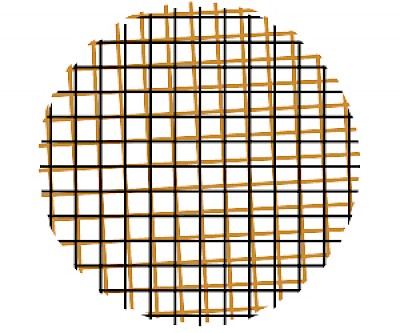 Kristina Sedlerova, Atelier Brenda and Nina Polak