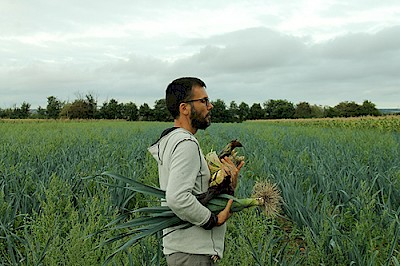 RESTAURO: Environmental Sculpture