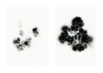 A Small Black Cloud Looking Substance