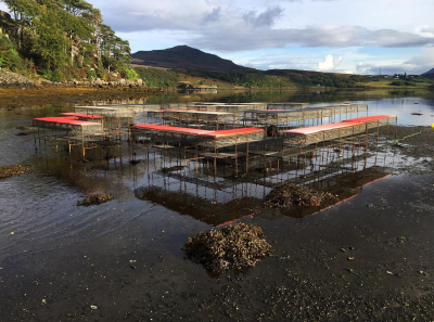 Cooking Sections - CLIMAVORE: On Tidal Zones