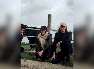 The Soft Protest Digest